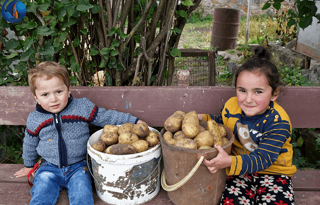 A Family Farm Reborn